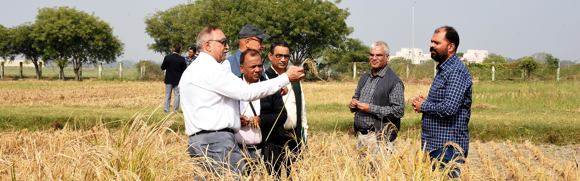 Uttar Pradesh Council of Agricultural Research