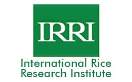 International Rice Research Institute (IRRI)