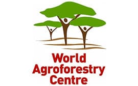 International Centre for Research in Agroforestry/World Agroforestry (ICRAF)